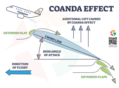 The Science Behind Flying and Wings Kids GuideBG