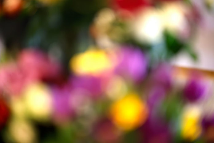 Common Bokeh Pitfalls and How to Avoid Them