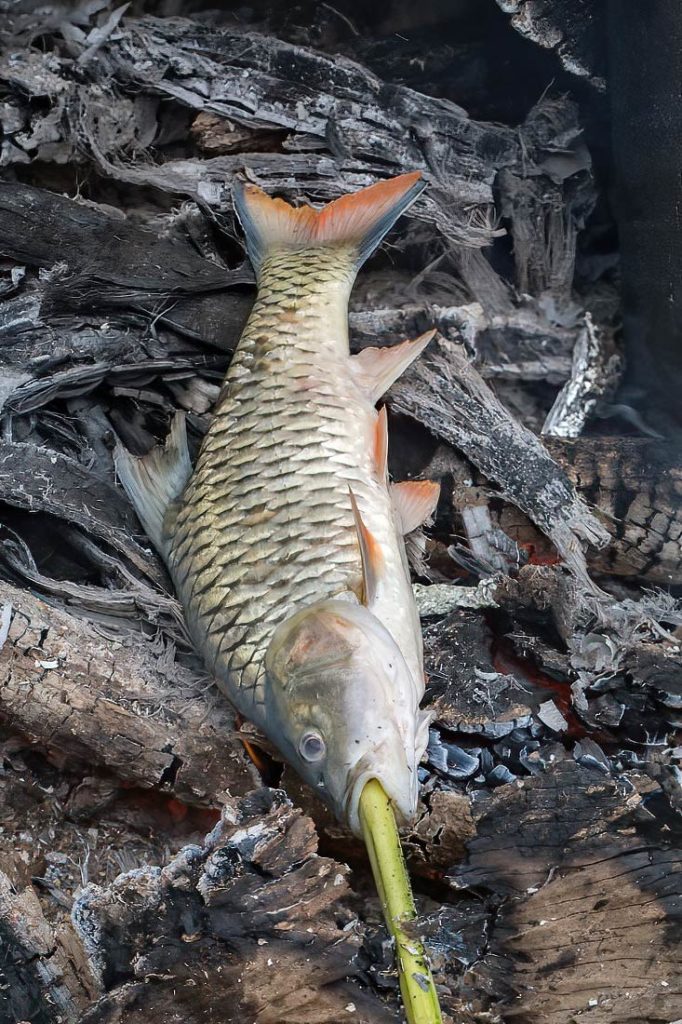 Grilling fish on a stick or skewer